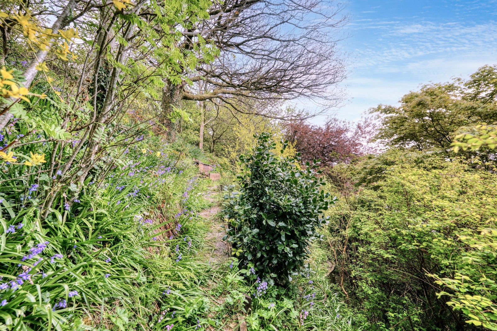 property-photo