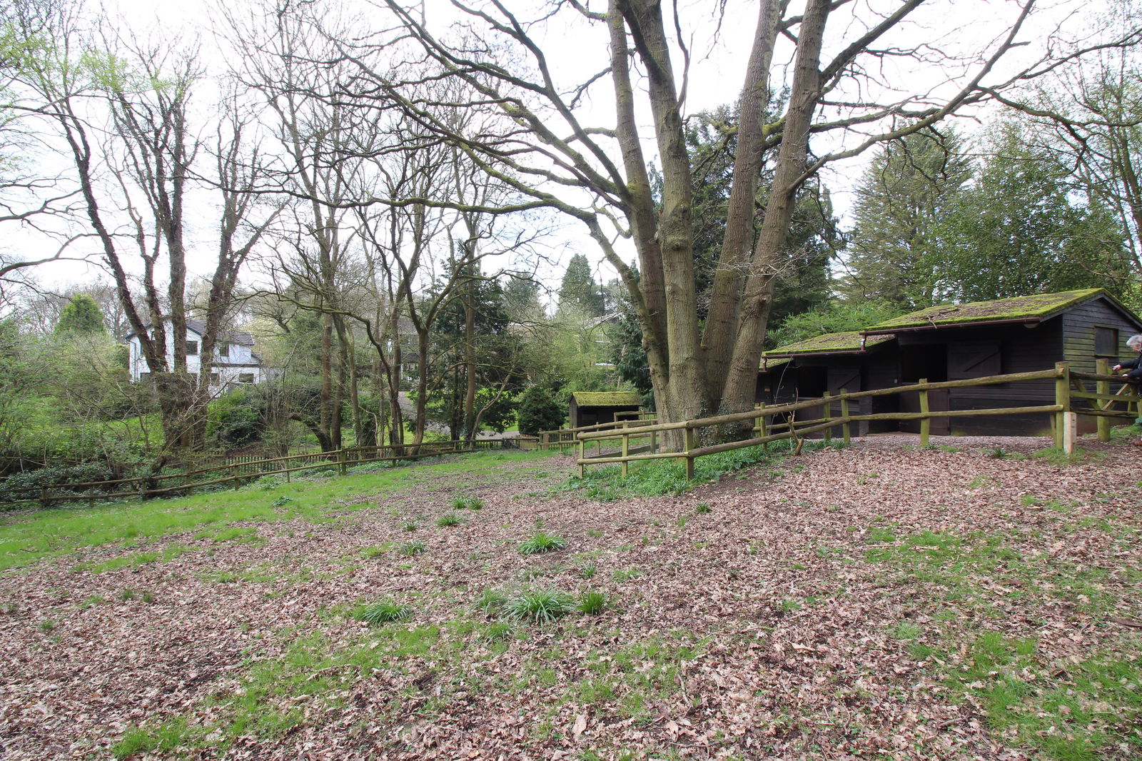 property-photo