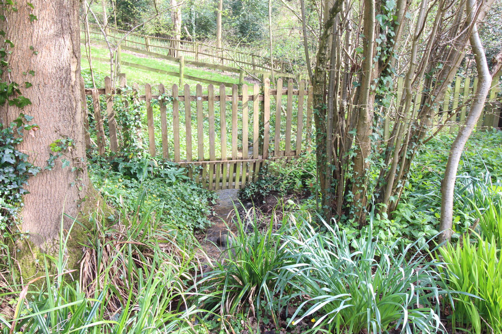 property-photo