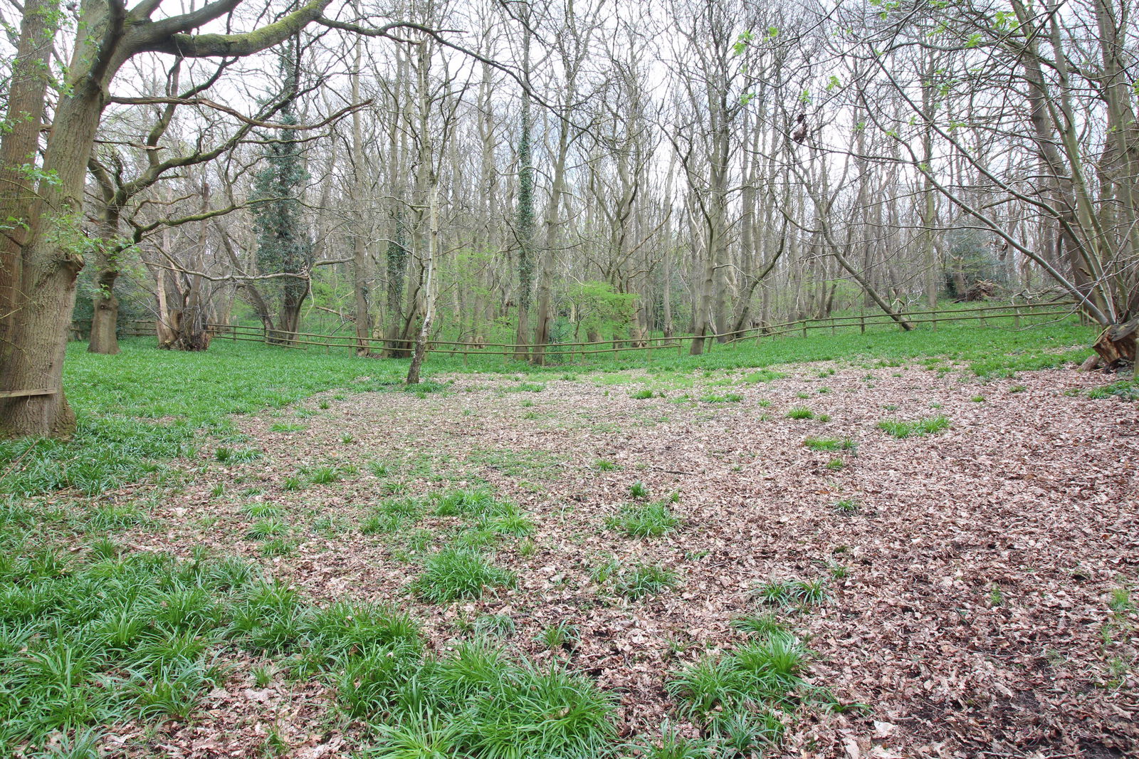 property-photo