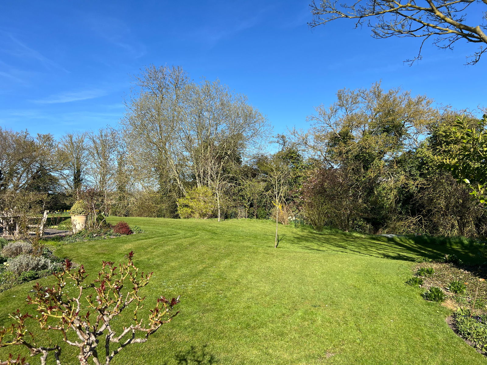 Wilby, Near Framlingham property photo