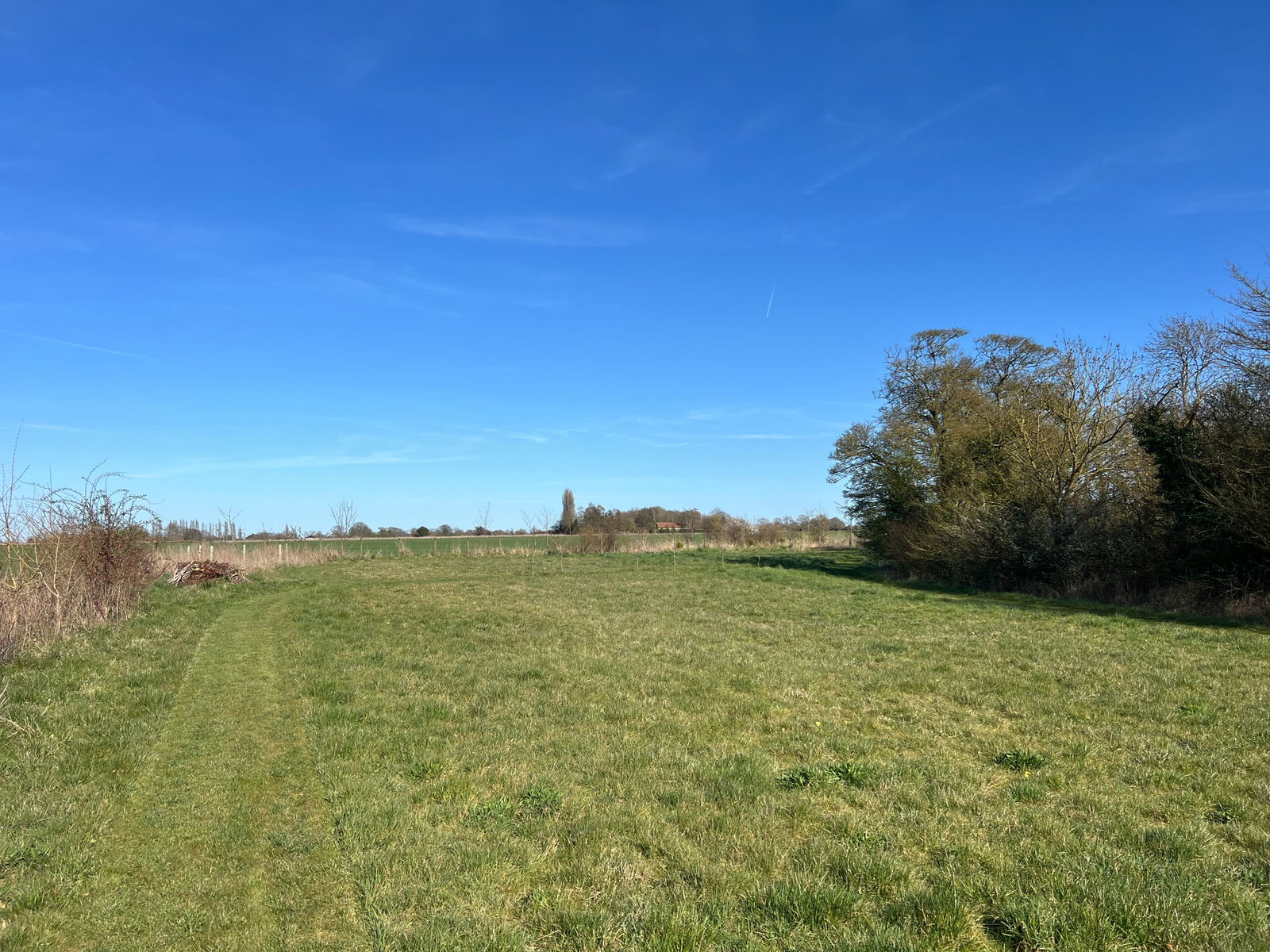 Wilby, Near Framlingham property photo