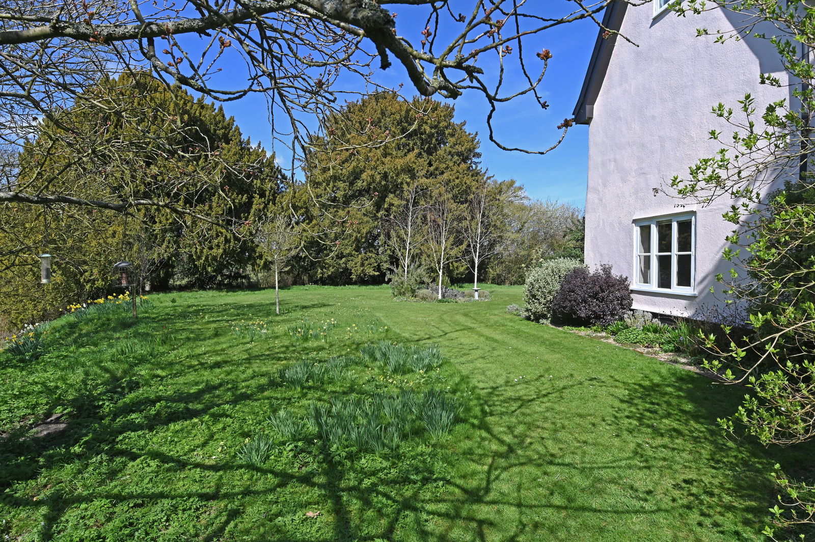 Wilby, Near Framlingham property photo