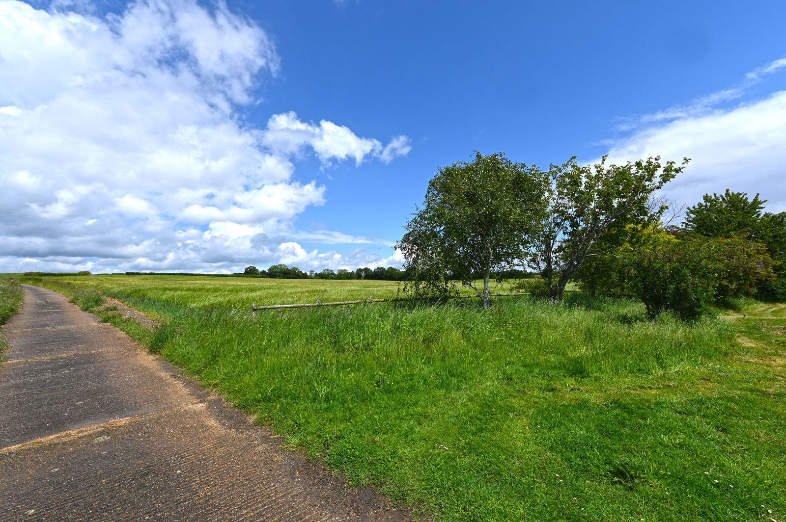 Cookley, Near Halesworth, Suffolk property photo