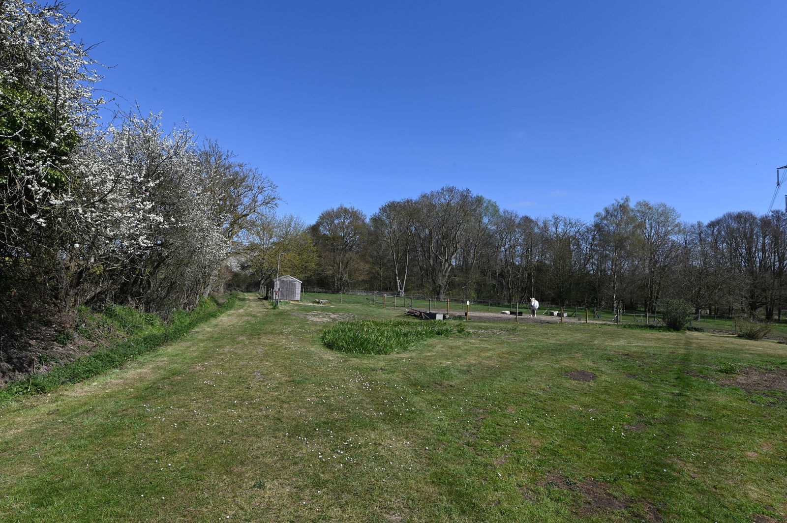 Pettistree, Nr Woodbridge, Suffolk property photo
