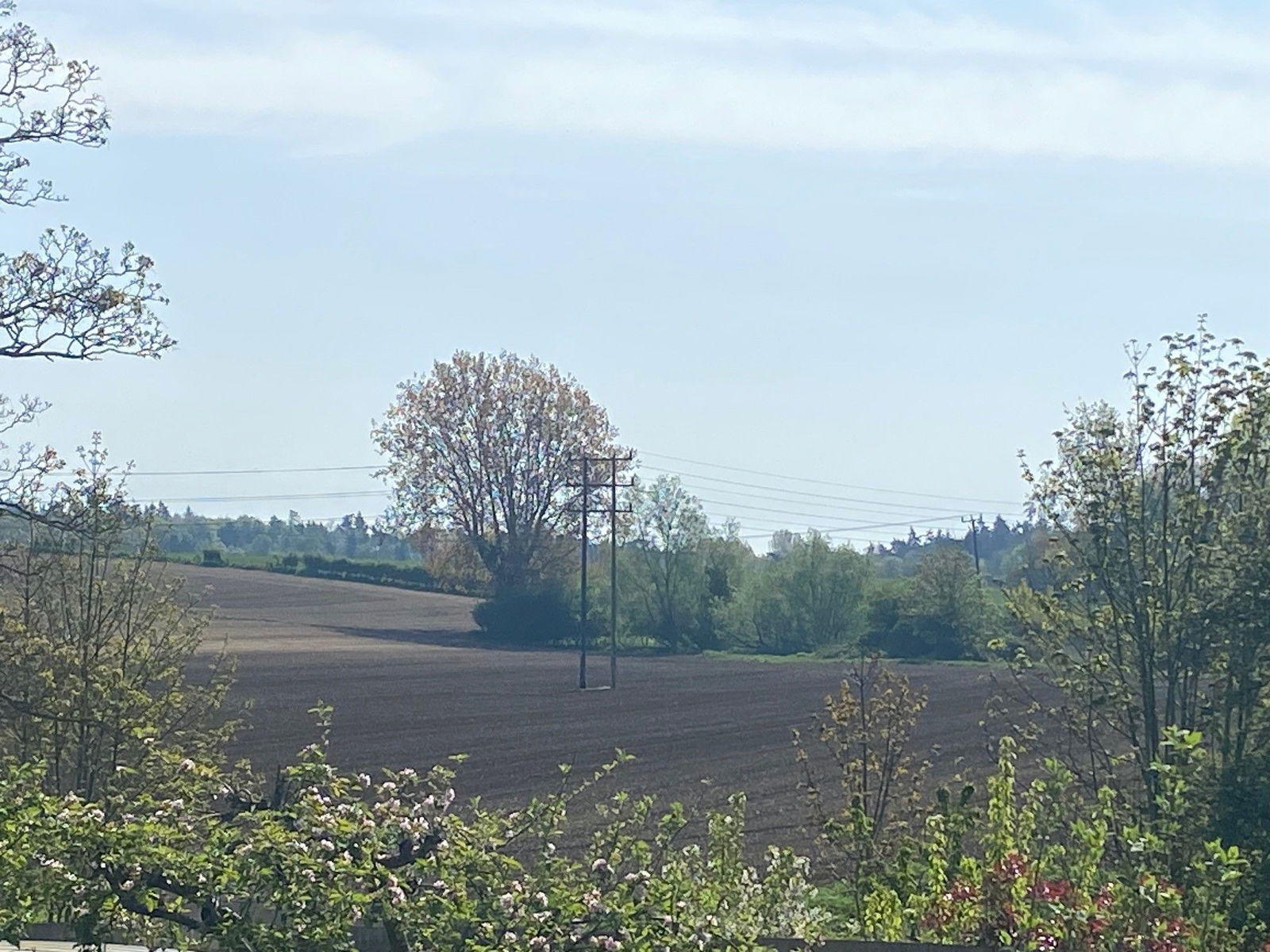 Hacheston, Near Framlingham property photo