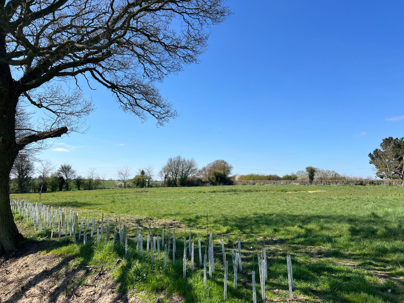 Wingfield, Near Harleston property photo