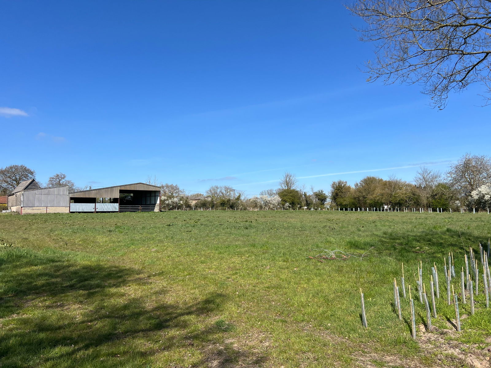Wingfield, Near Harleston property photo