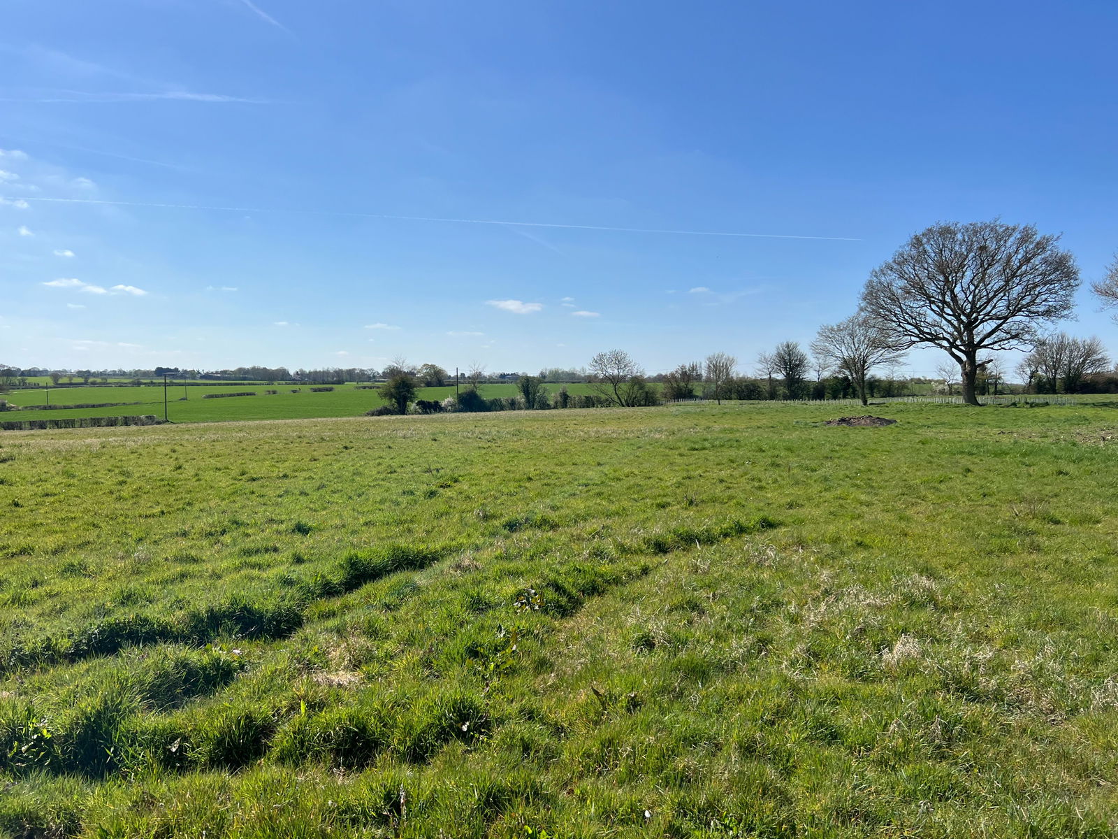 Wingfield, Near Harleston property photo