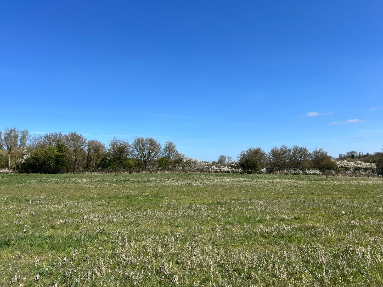 Wingfield, Near Harleston property photo
