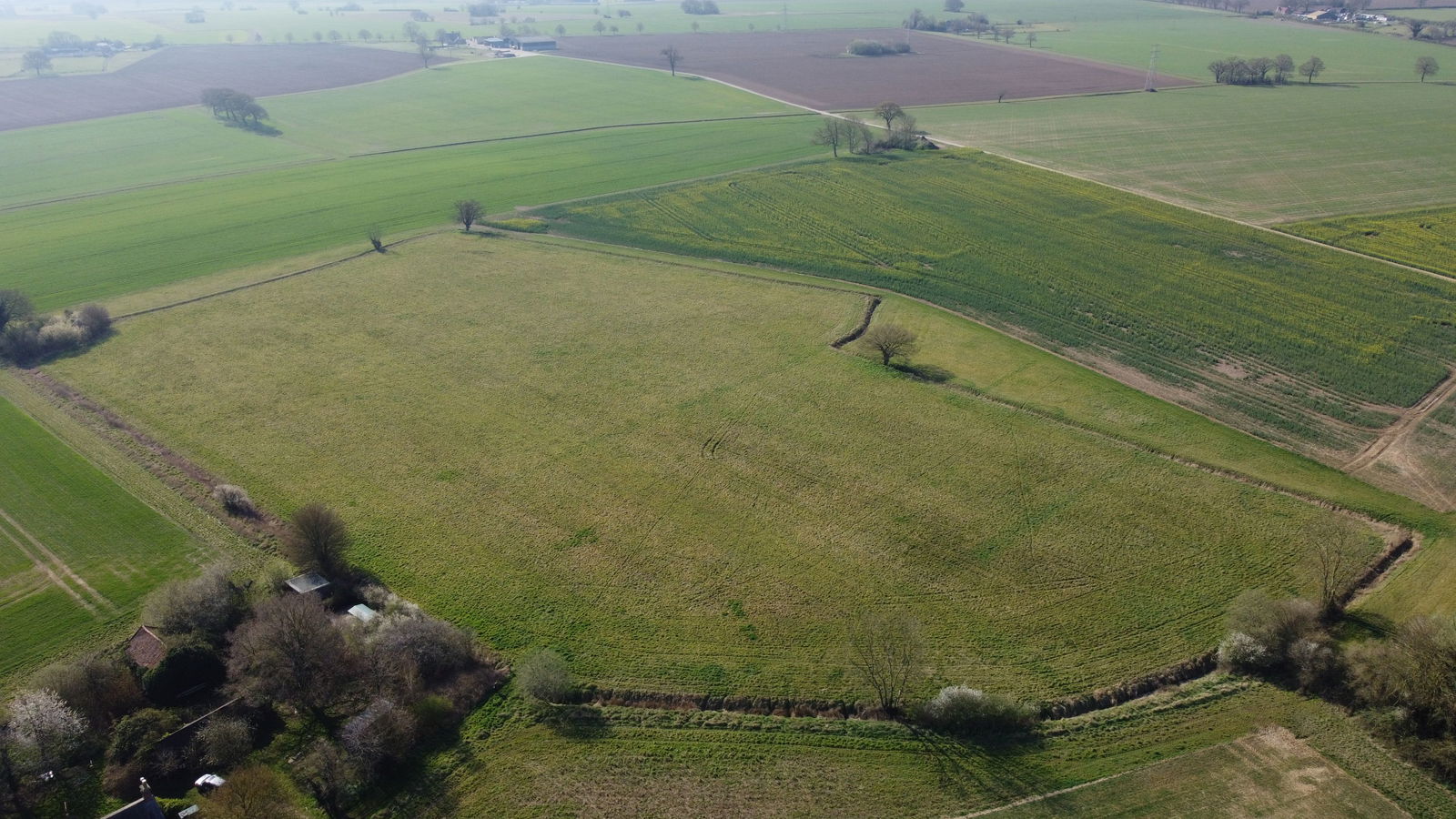 Land at Coney Weston property photo