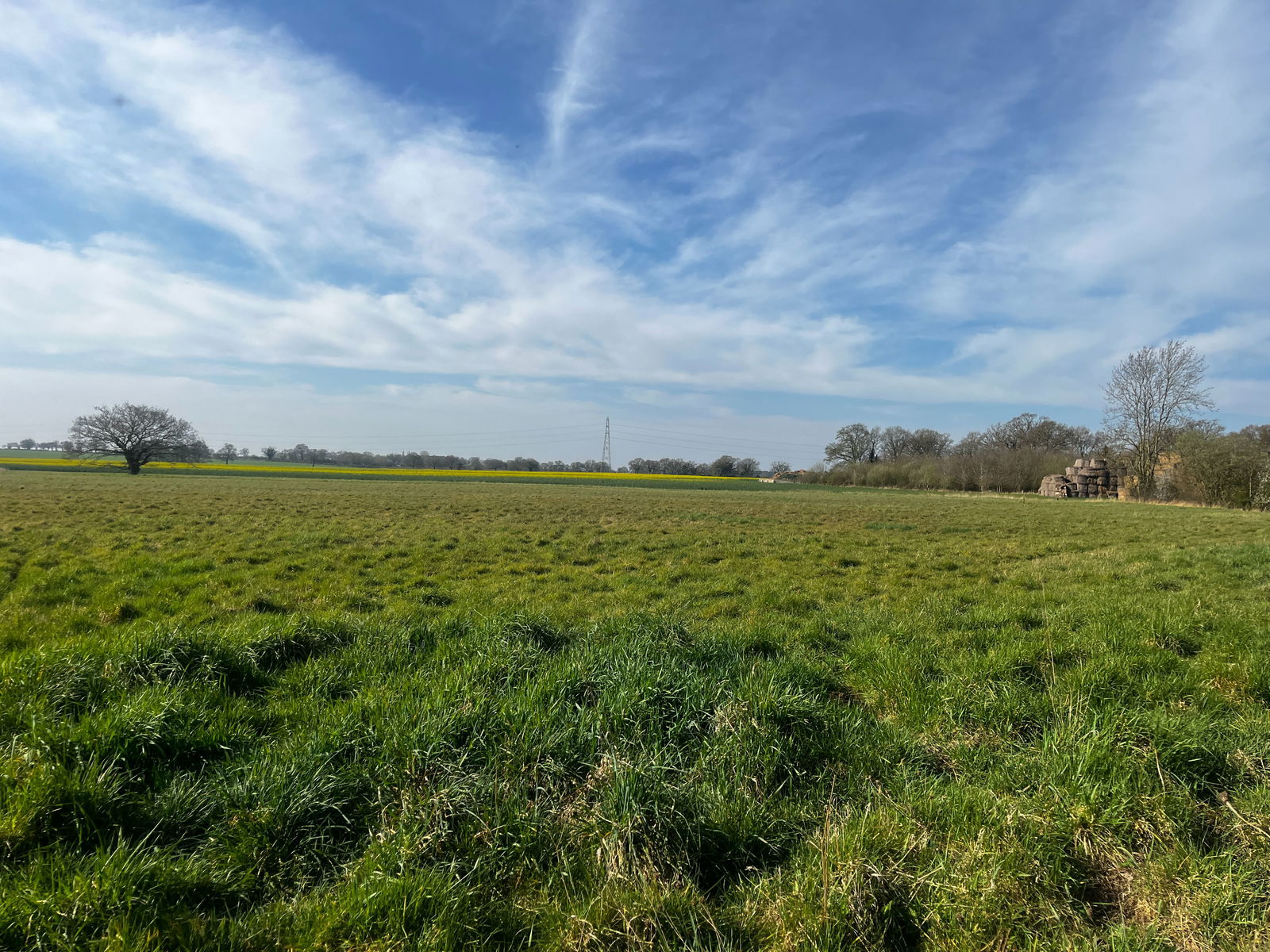 Land at Coney Weston property photo