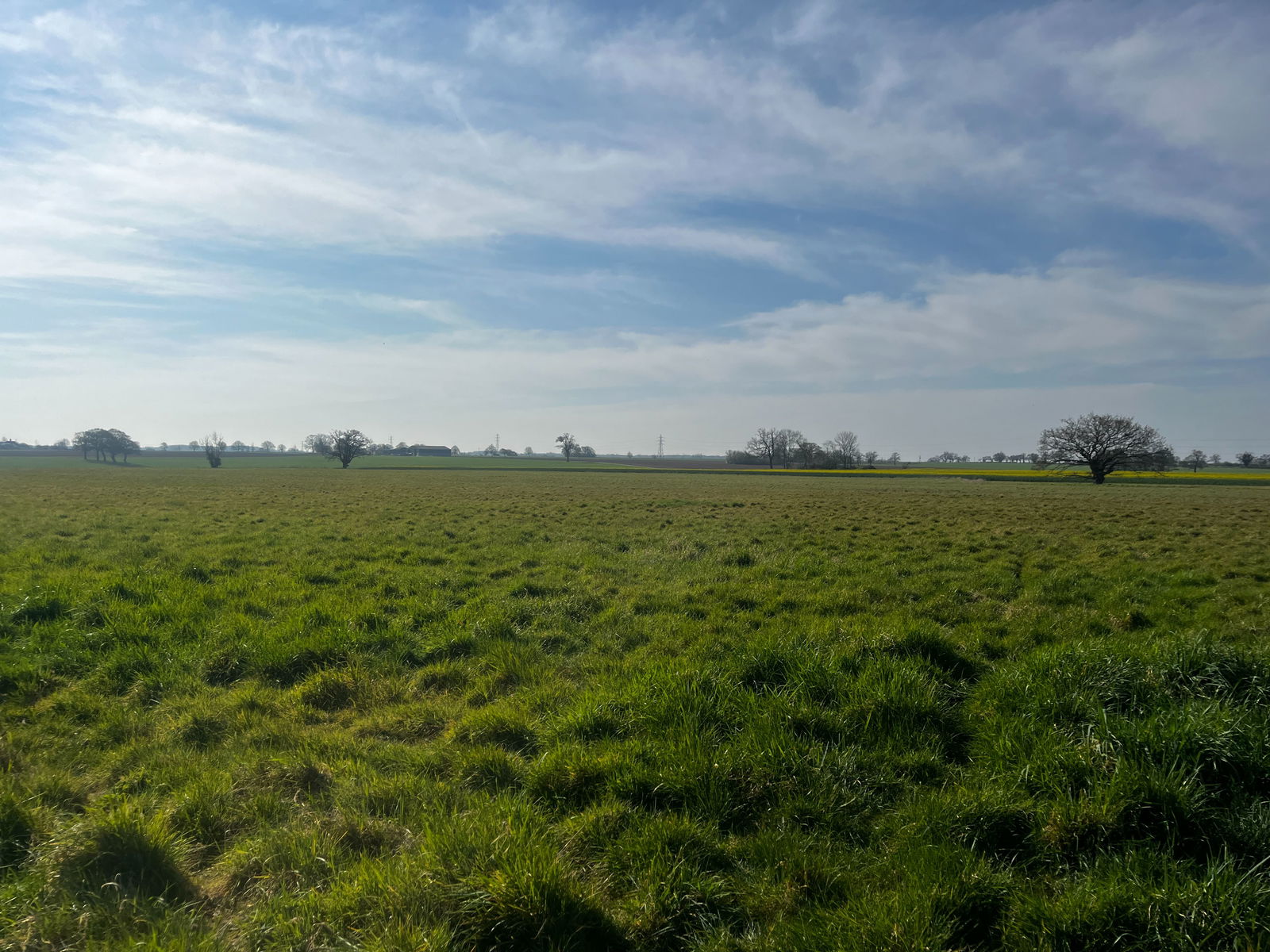 Land at Coney Weston property photo
