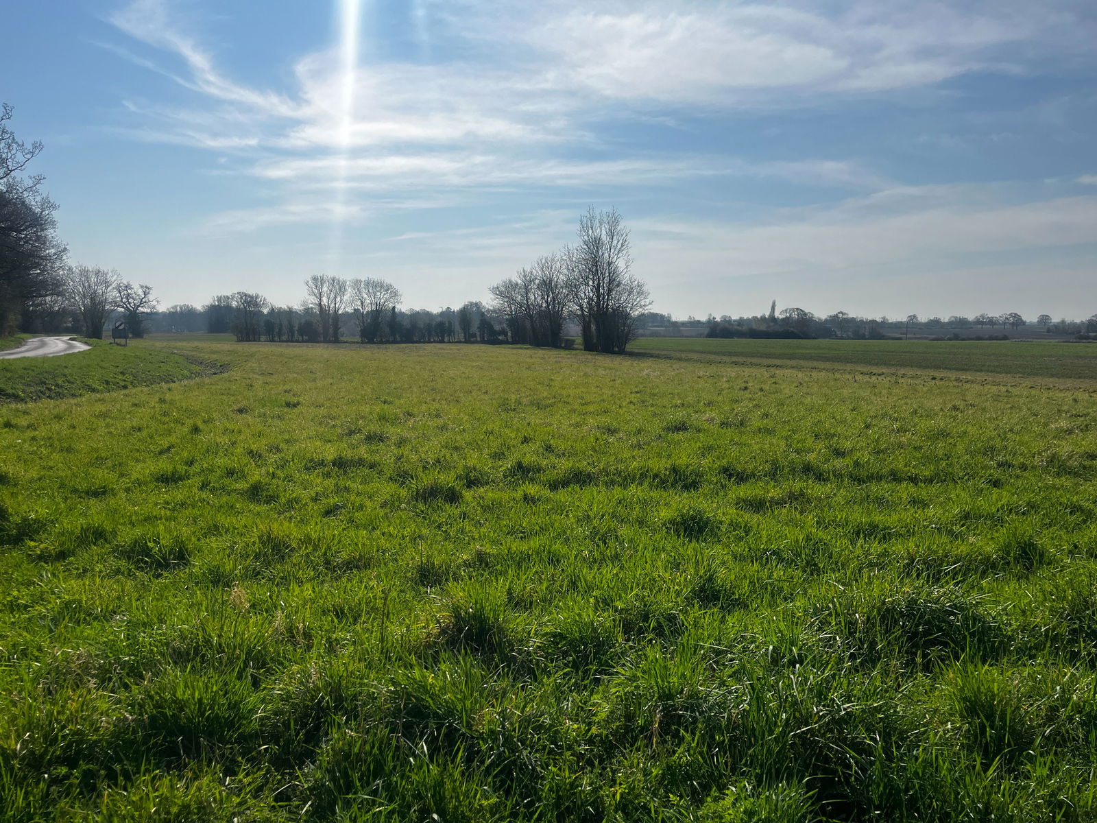 Land at Coney Weston property photo