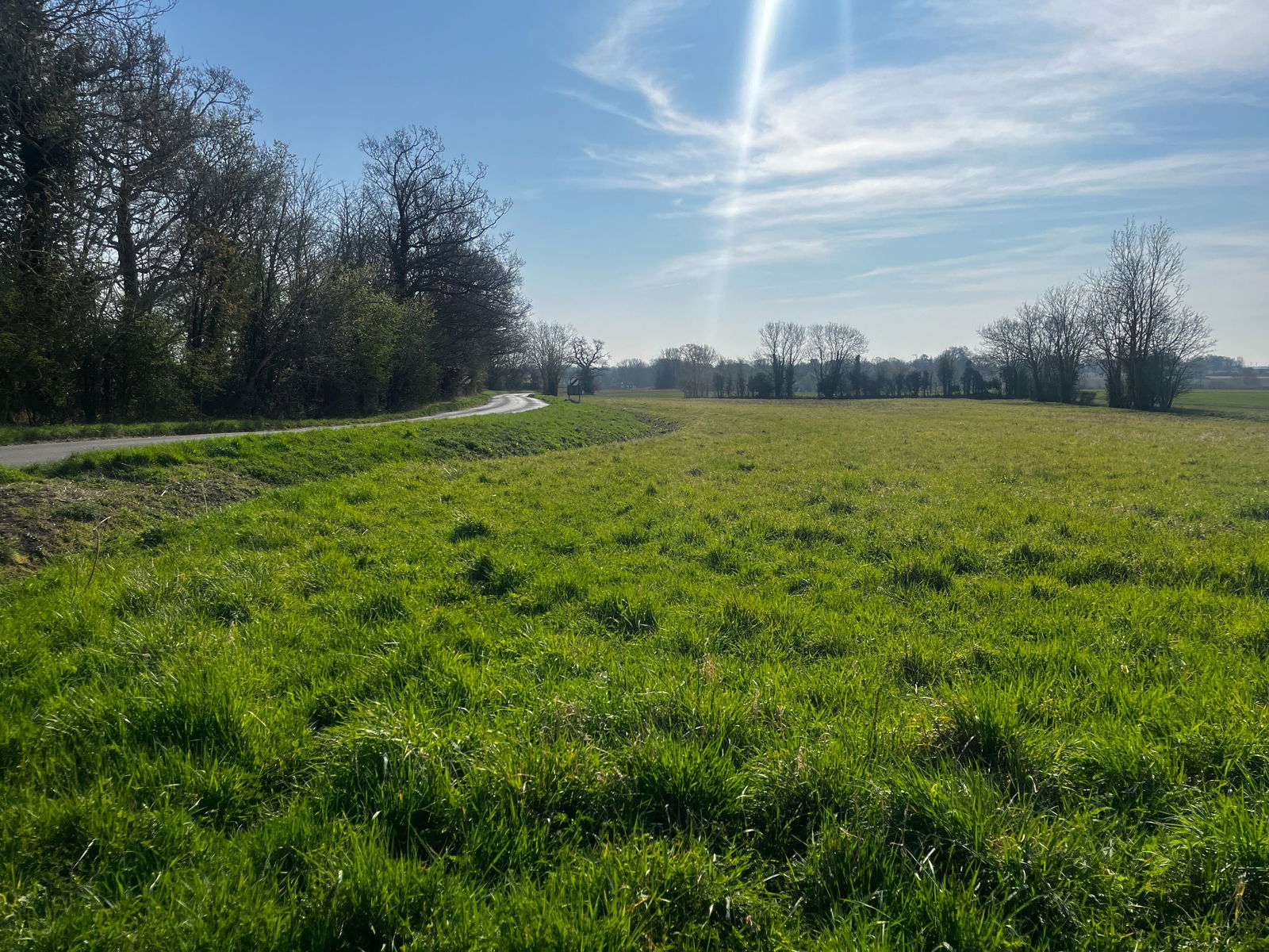 Land at Coney Weston property photo