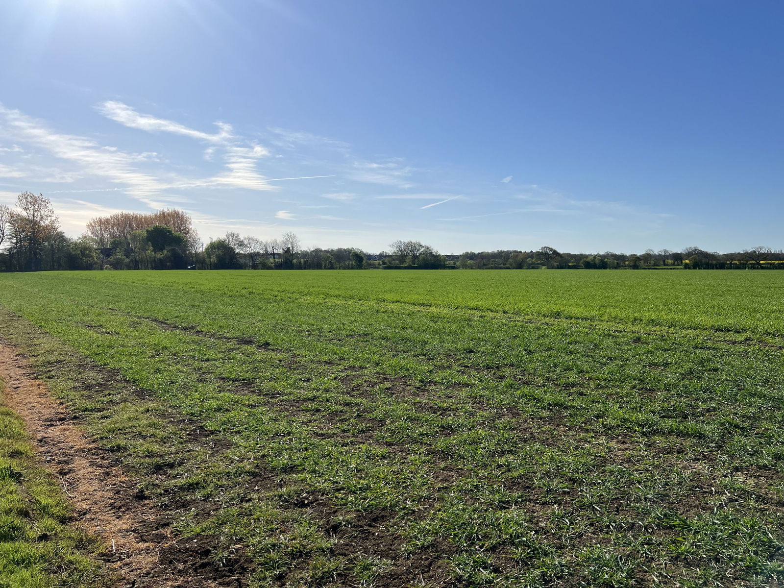 Land at Combs, nr Stowmarket property photo