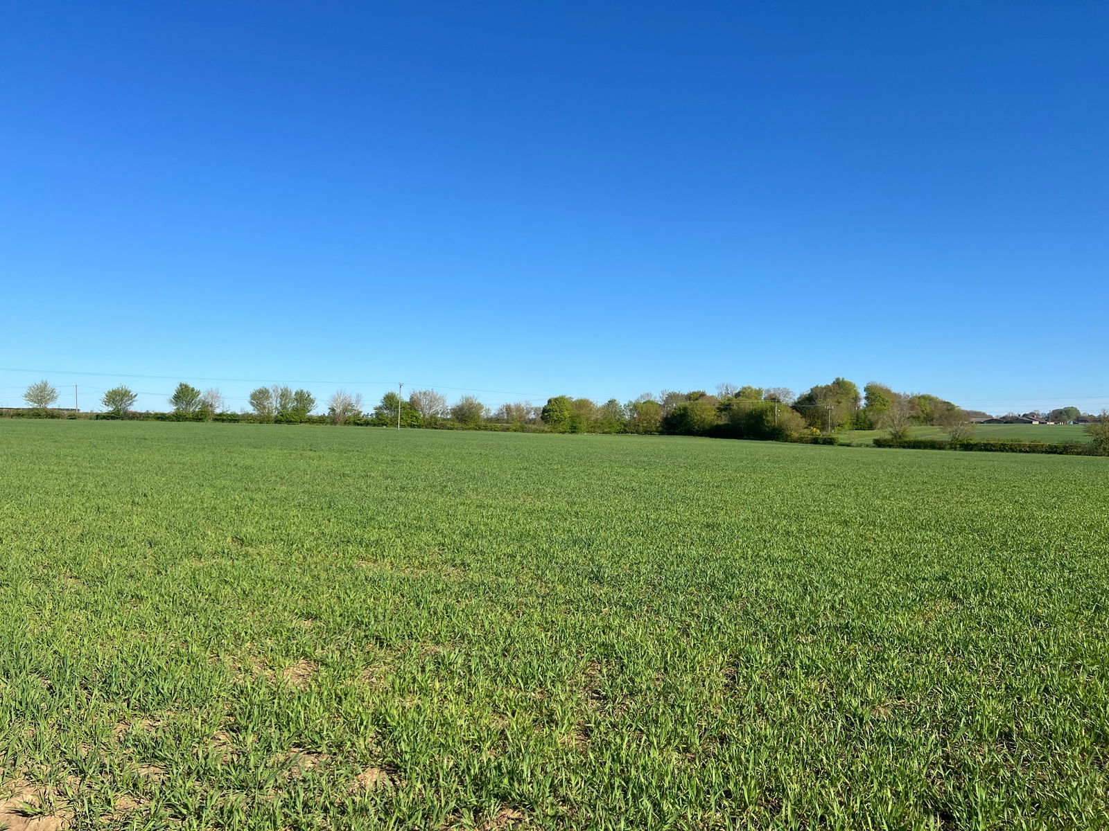 Land at Combs, nr Stowmarket property photo
