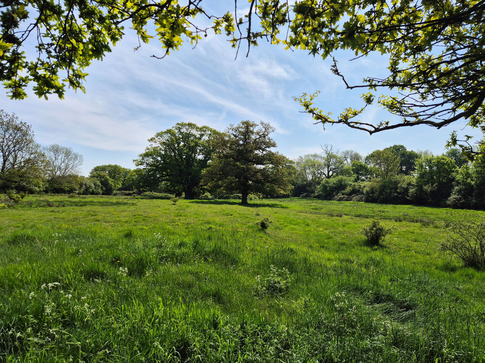 Cransford, Nr Framlingham property photo