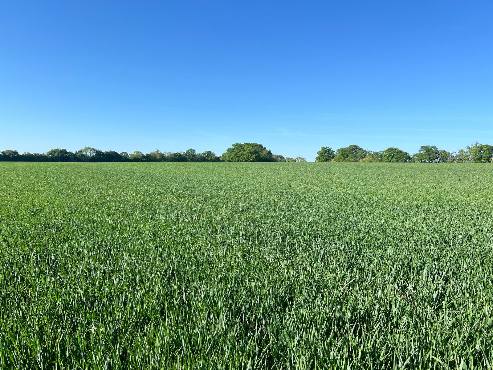 Cransford, Nr Framlingham property photo