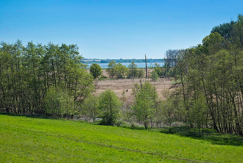 Nacton, Nr Ipswich property photo