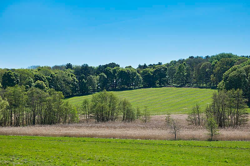 Nacton, Nr Ipswich property photo