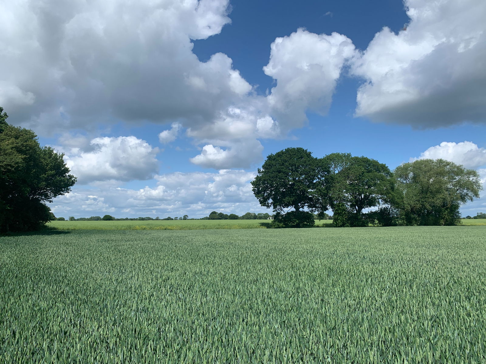 Land at Laxfield property photo