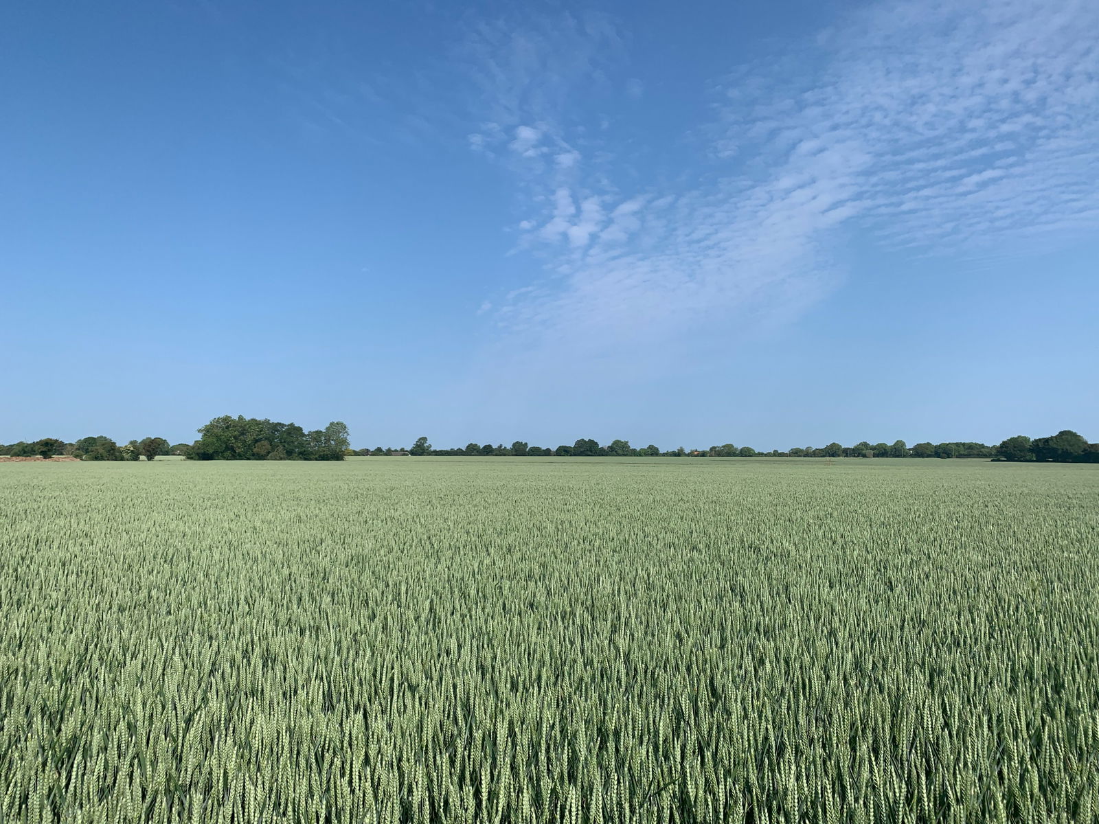 Land at Laxfield property photo