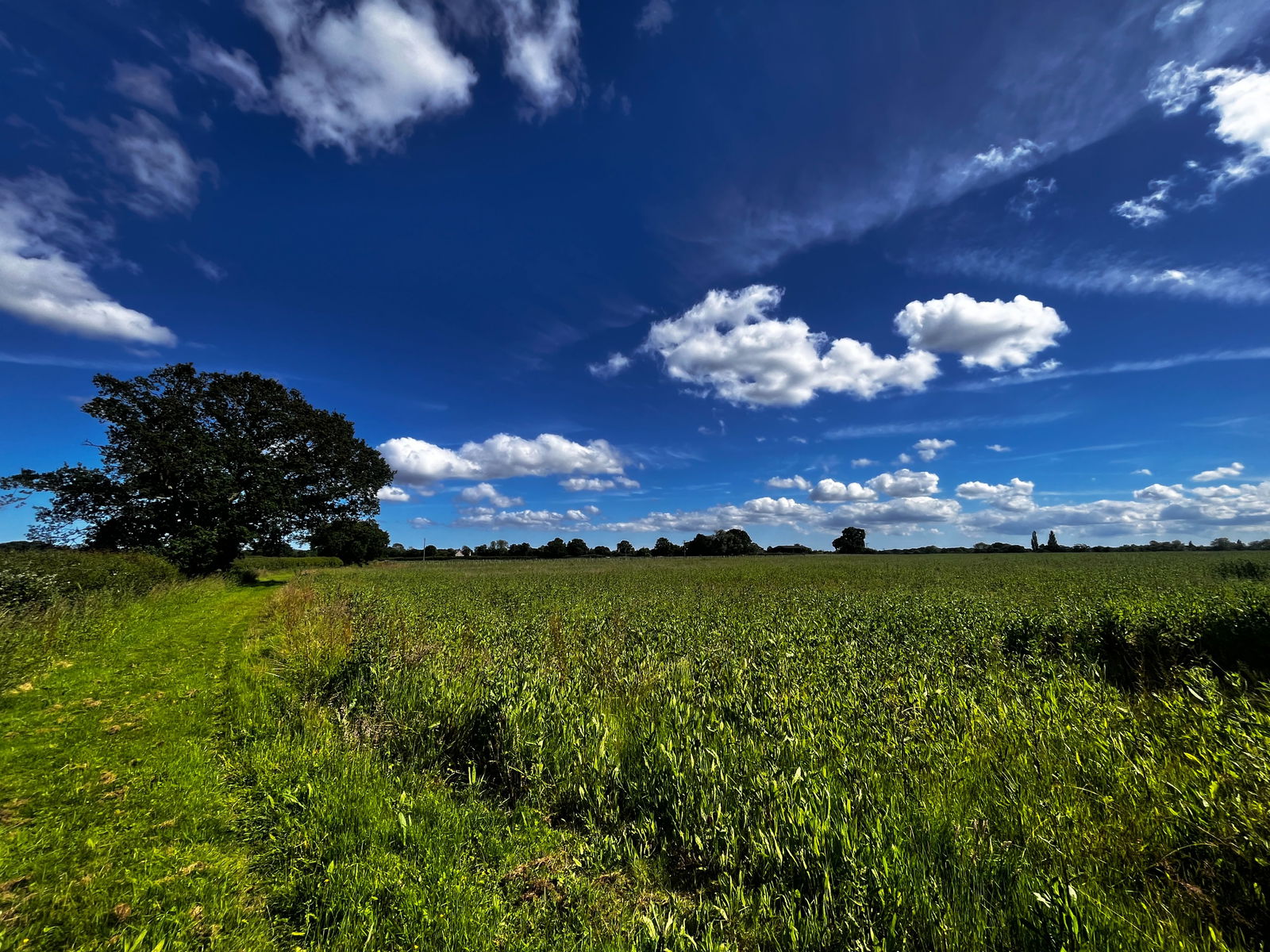 13.57 acres - land at Somersham, Nr Ipswich, Suffolk property photo