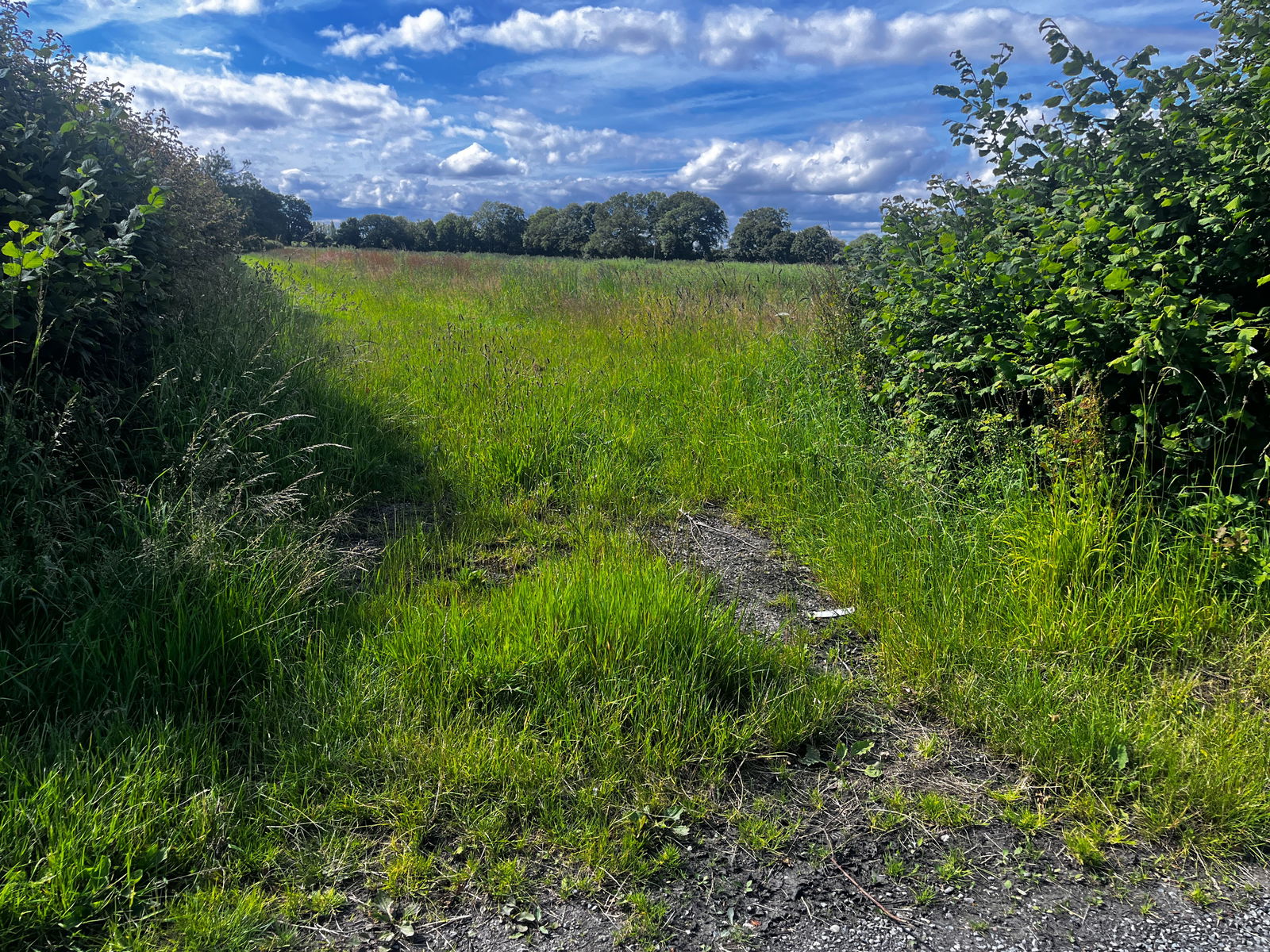 13.57 acres - land at Somersham, Nr Ipswich, Suffolk property photo