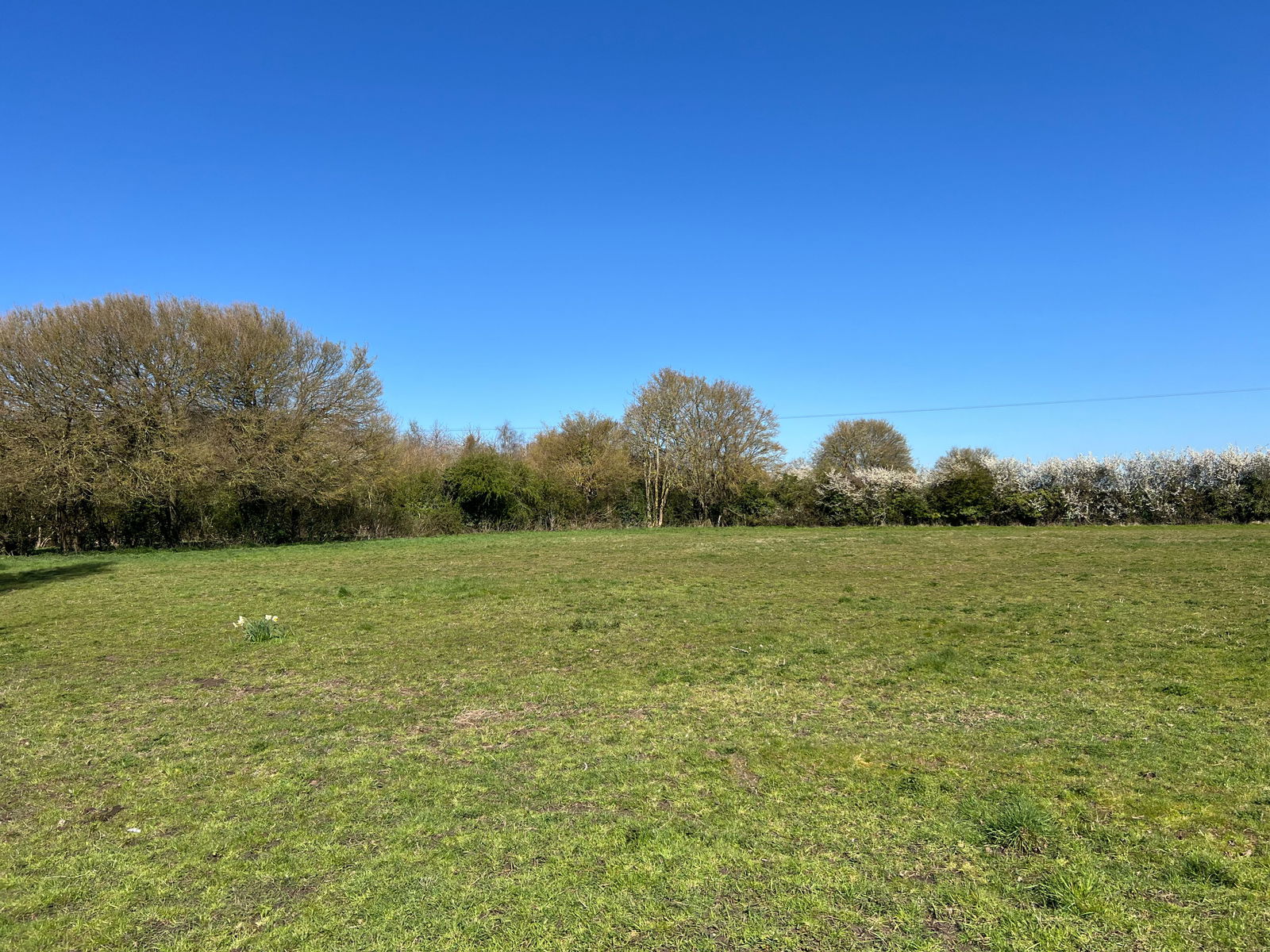 The Green, Saxtead, Near Framlingham property photo