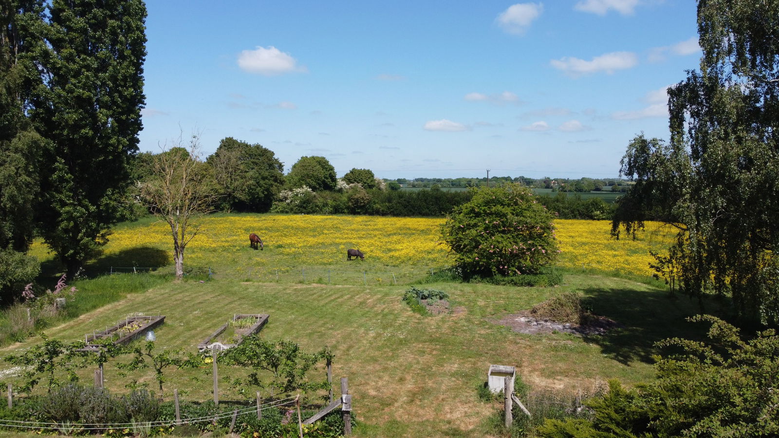 The Green, Saxtead, Near Framlingham property photo