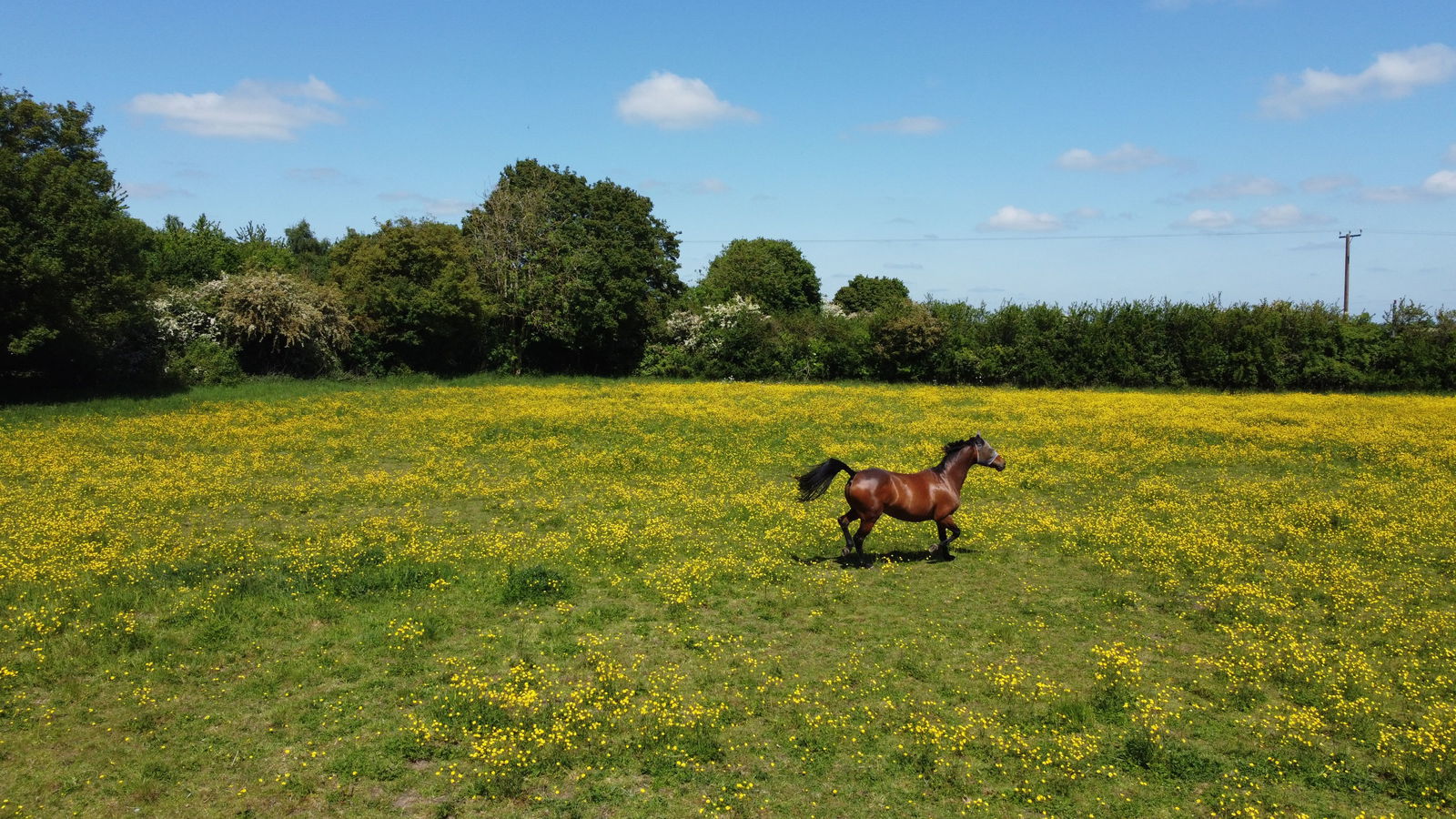 The Green, Saxtead, Near Framlingham property photo