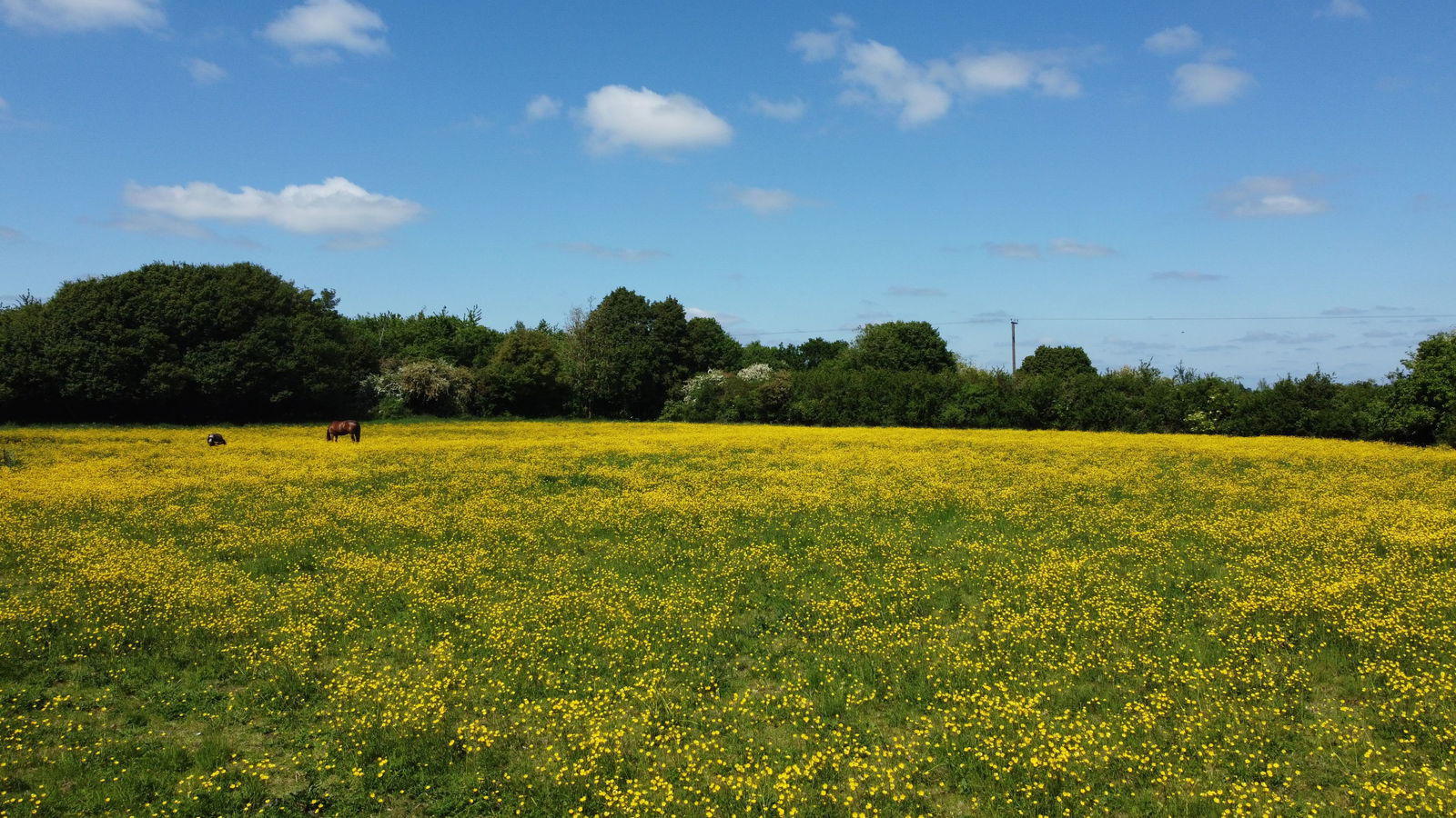The Green, Saxtead, Near Framlingham property photo