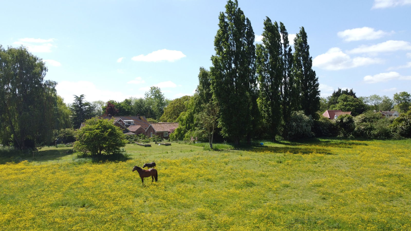The Green, Saxtead, Near Framlingham property photo