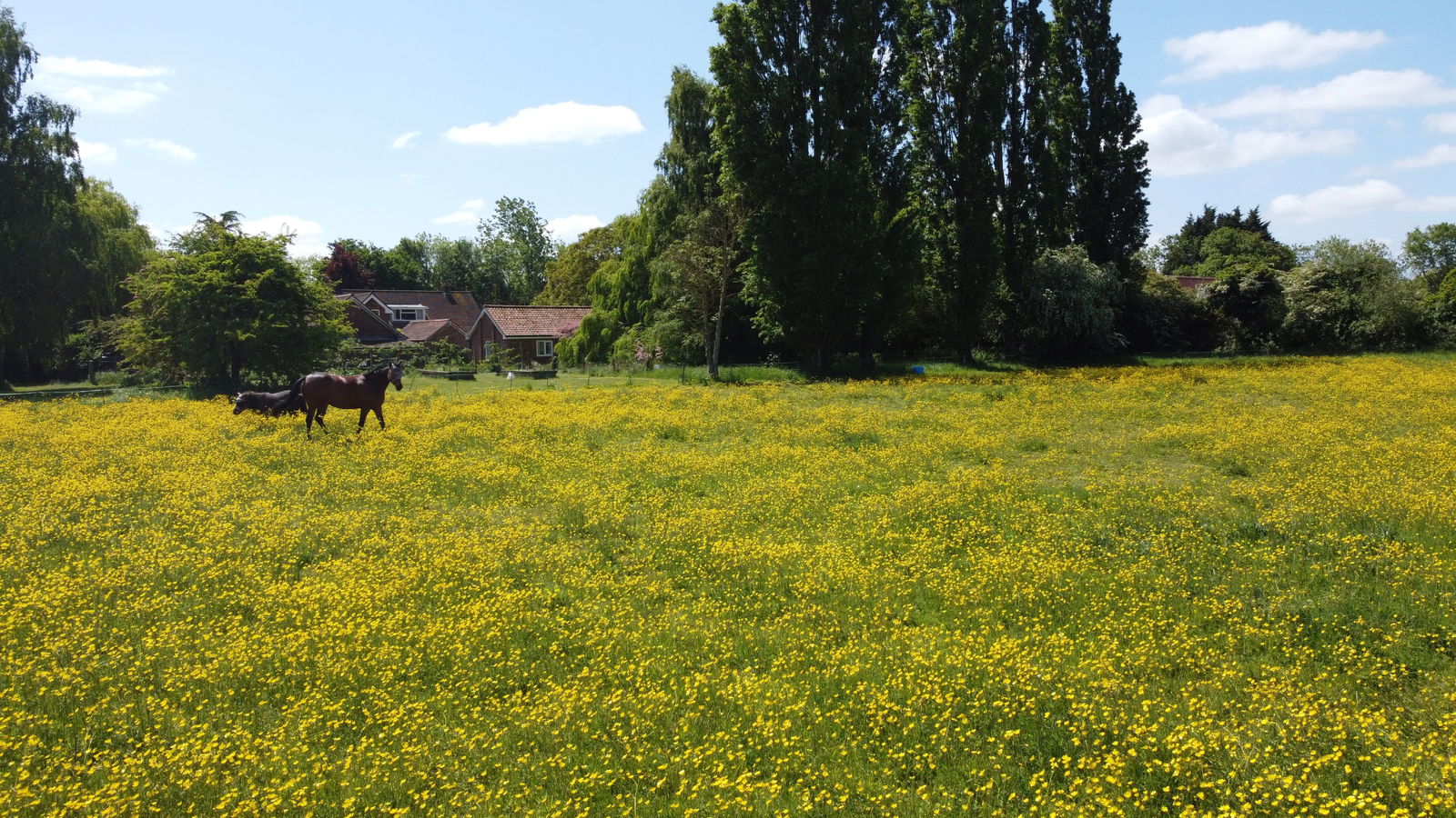 The Green, Saxtead, Near Framlingham property photo