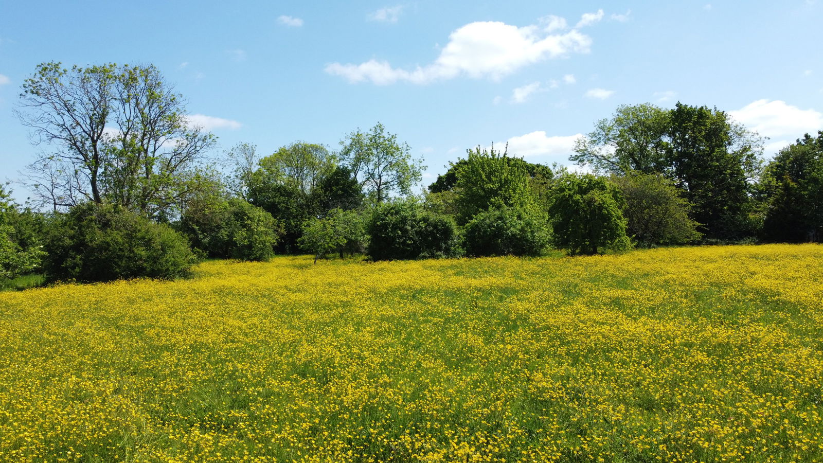 The Green, Saxtead, Near Framlingham property photo