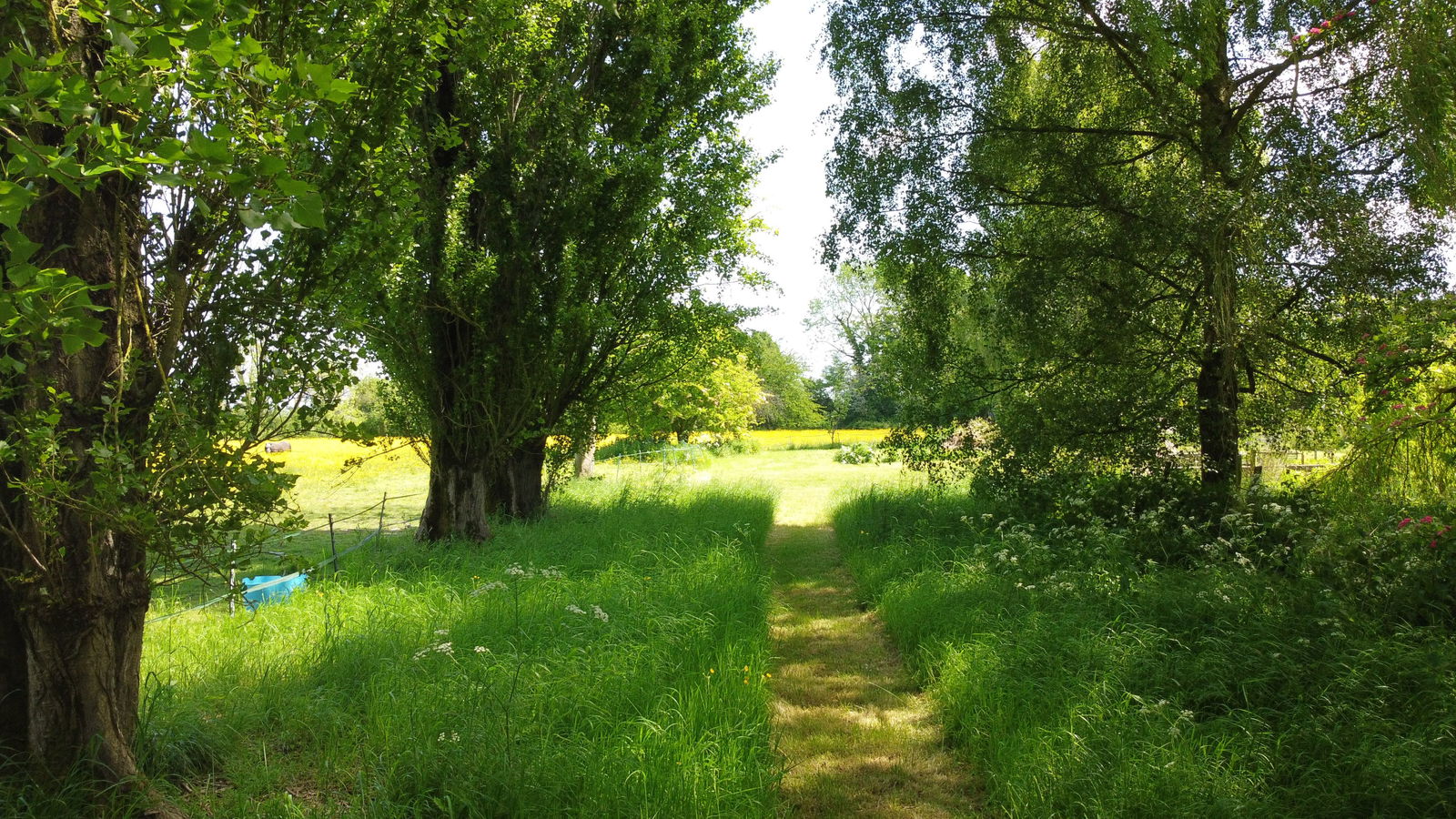 The Green, Saxtead, Near Framlingham property photo