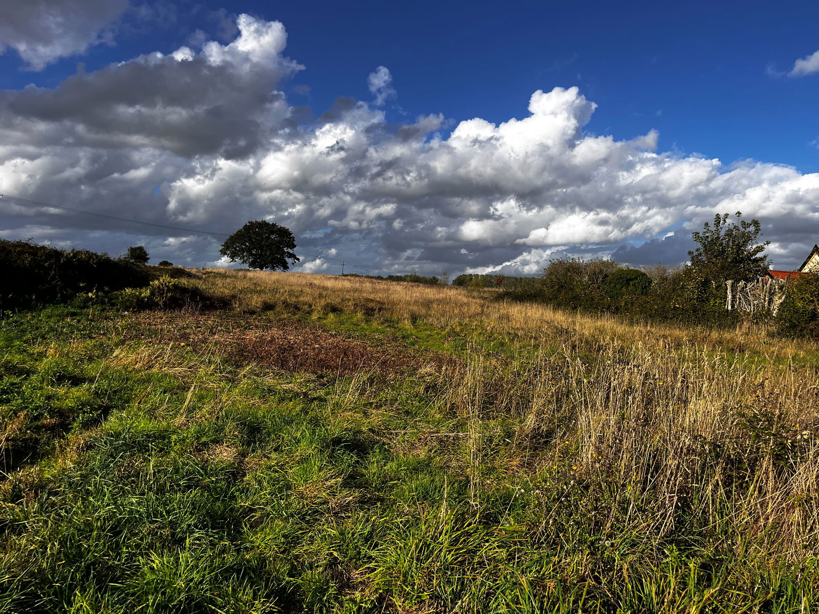 South Lopham, Nr Diss, Norfolk property photo