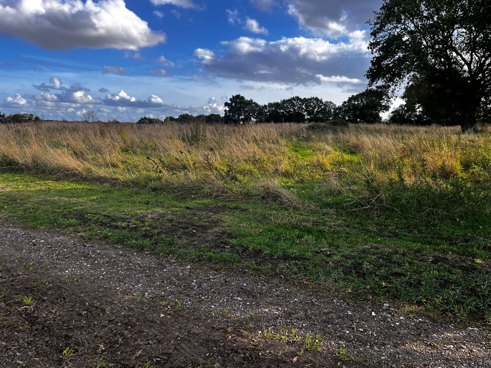 South Lopham, Nr Diss, Norfolk property photo