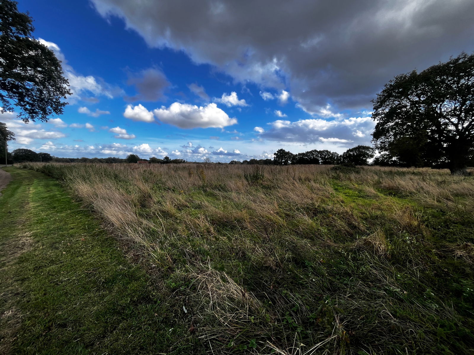 South Lopham, Nr Diss, Norfolk property photo