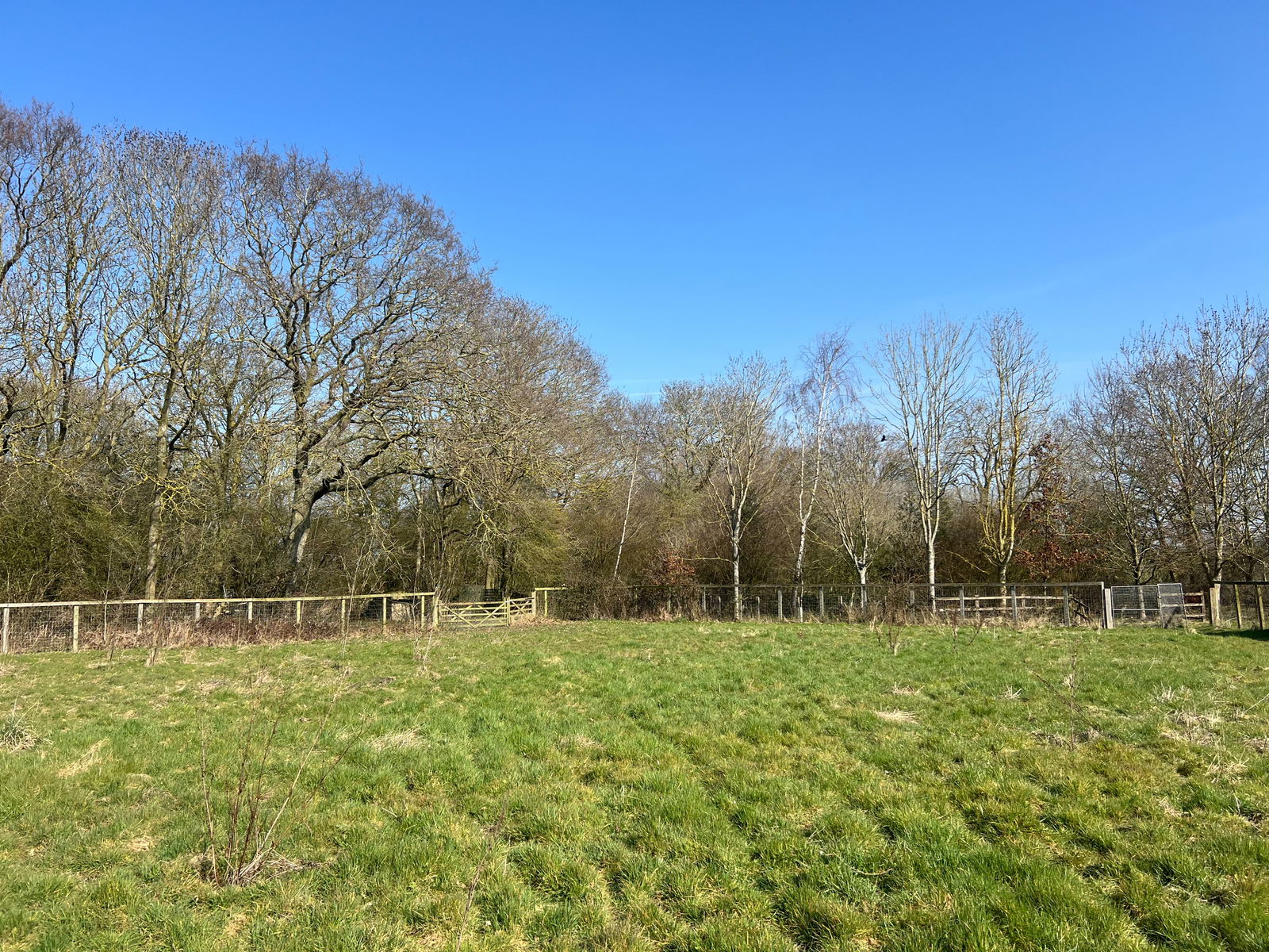 Thorington, Near Halesworth, Suffolk property photo