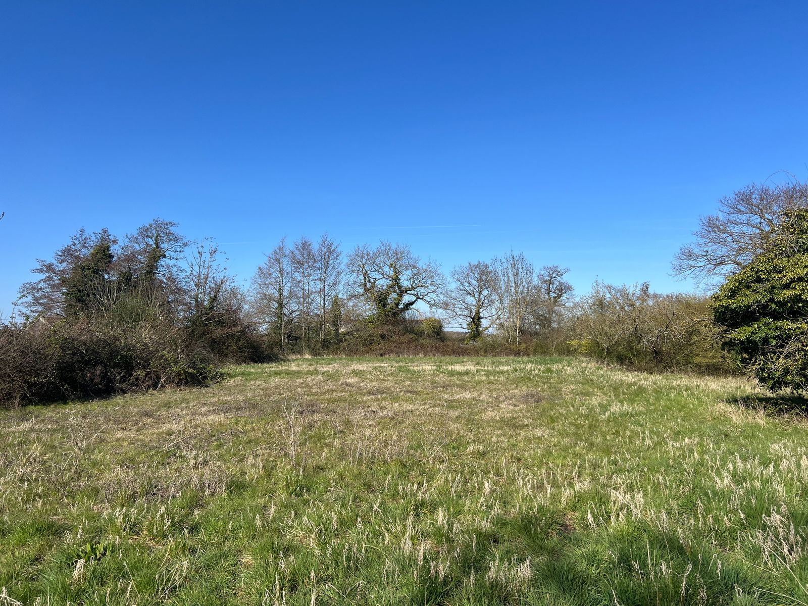 Darsham, Near Saxmundham, Suffolk property photo